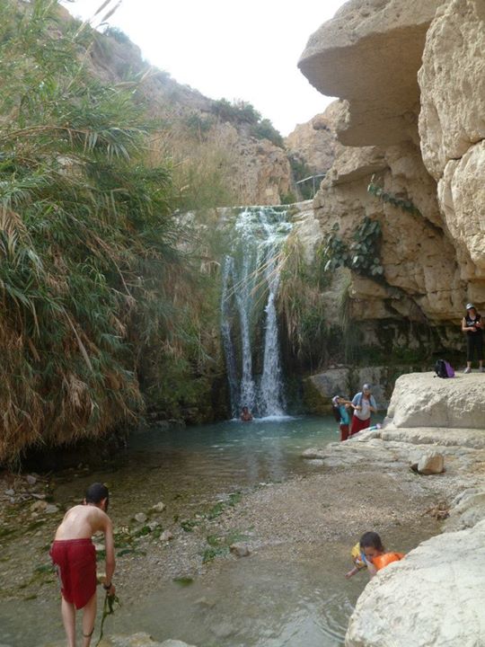 David's Waterfall in Ein Gedi Nature Reserve