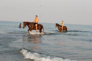 Our amazing horse ride with Kande Horses ending with bareback riding in Lake Malawi..!!