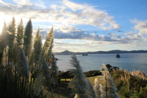 The walk to Cathedral Cove on the Coromandel Peninsular..