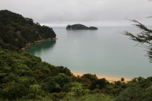 The coastal walk in Abel Tasman National Park..